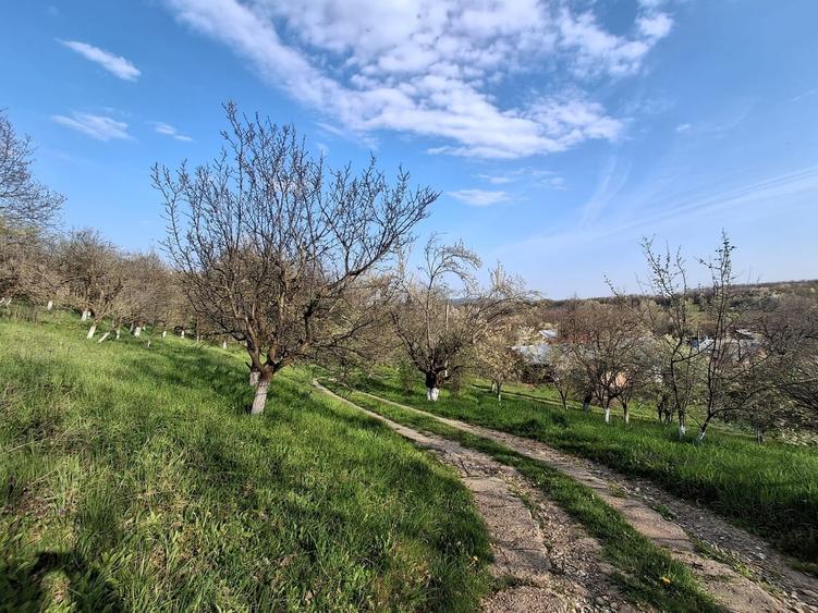 Casă cu 5 camere cu Teren 5950 Mp în Nord
