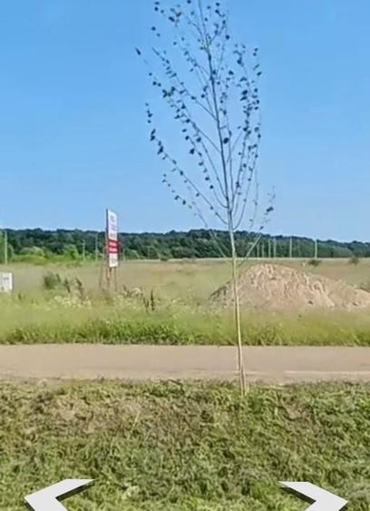 Teren Construcții intravilan de 608 mp, în Ghiroda