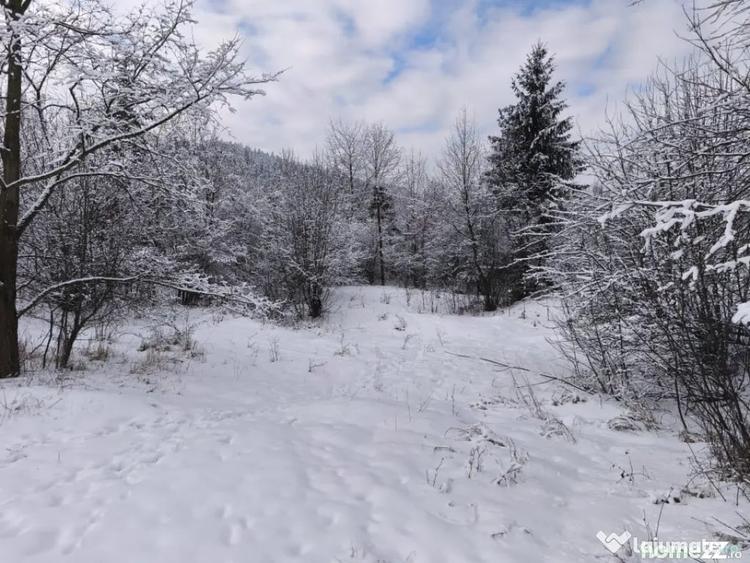 Teren de 22600 mp, în Sucevița