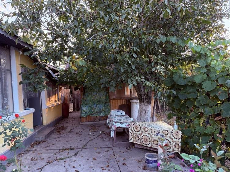 Casă cu 4 camere în Valea Bujorului
