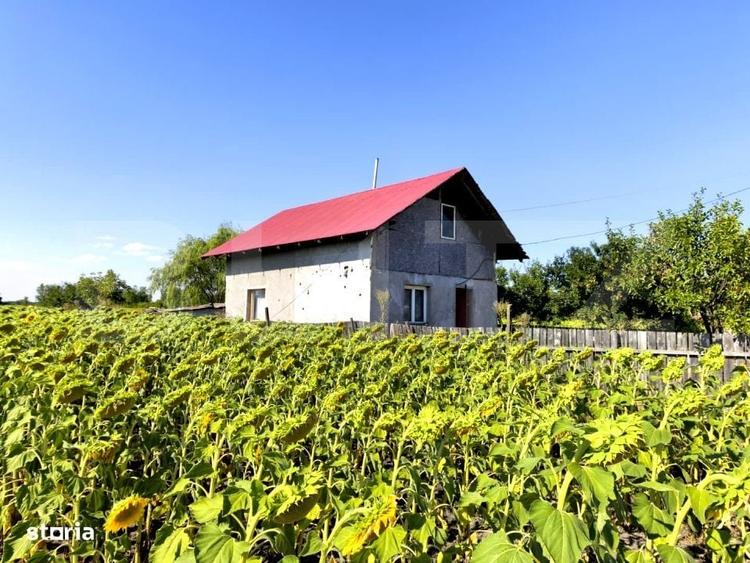Casă cu 2 camere în Prisăcani