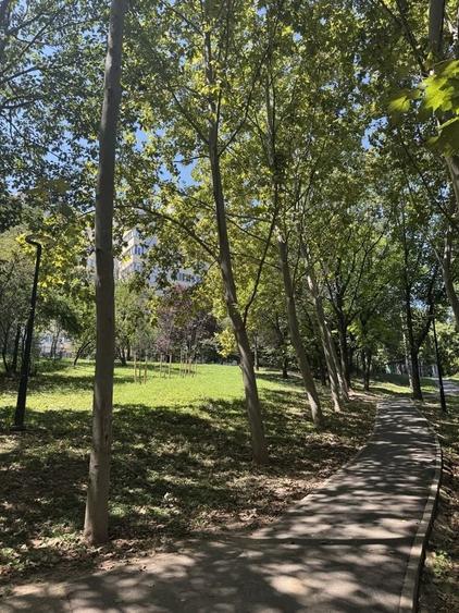 Inchiriere Apartament 4 Camere Doamna Ghica Tei - 9