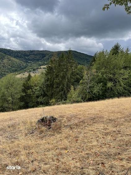 Teren de 10100 mp, în Bratca