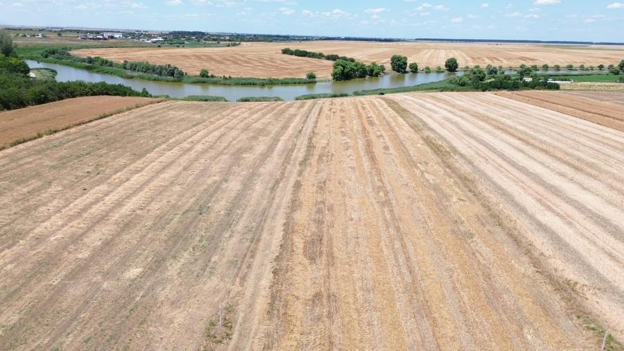 Teren Construcții extravilan de 6500 mp, în Frumușani