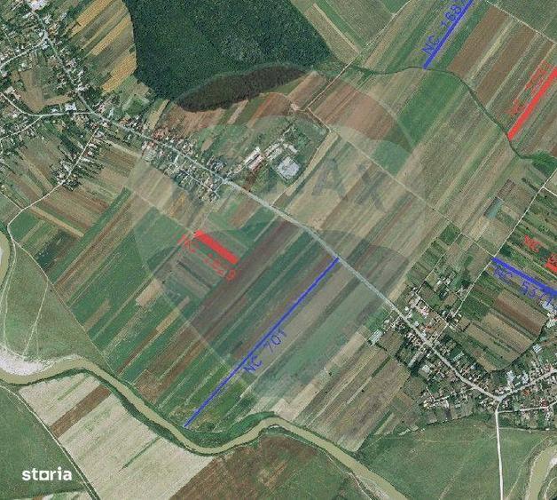 Teren de 4955 mp, în Drumul Taberei