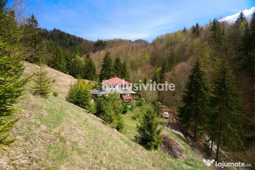 Casă cu 5 camere cu Teren 6412 Mp în Dâmbovicioara