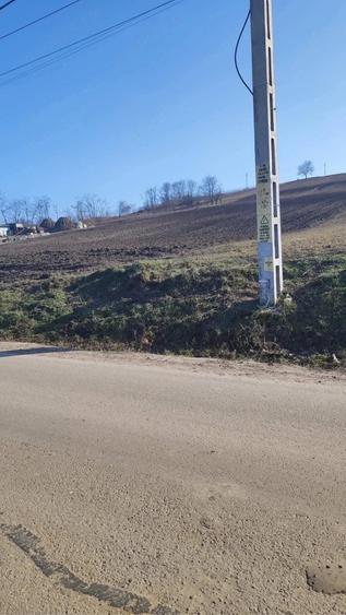 Teren de 5600 mp, în Ungureni