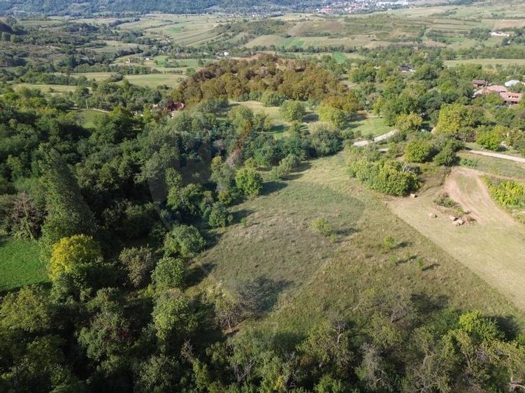 Teren Construcții de 16500 mp, în Măgureni