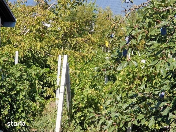 Teren de 3000 mp, în Fundeni