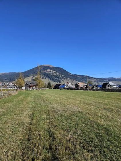 Teren de 5700 mp, în Dorna Candrenilor