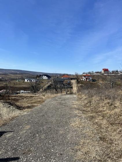 Teren de 10000 mp, în Central