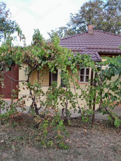 Casă cu 2 camere în Bălteni