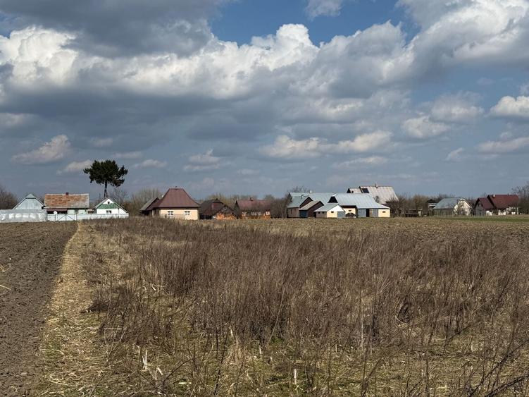 Teren Construcții intravilan de 3014 mp, în Frătăuții Vechi