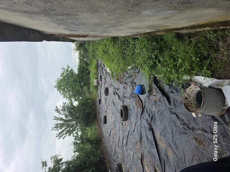 Teren de 3400 mp, în Copăceanca