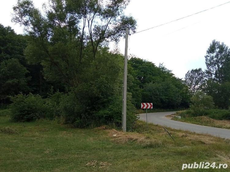 Teren de 2900 mp, în Tileagd
