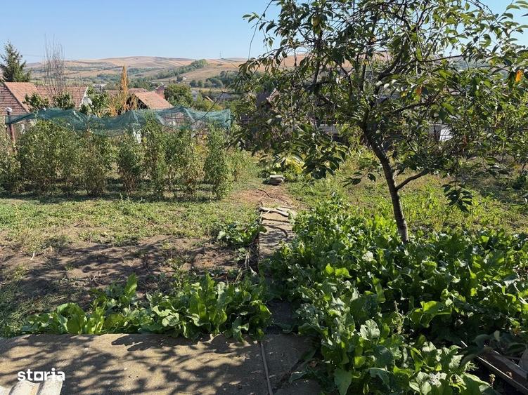 De vanzare casa 65 m2, teren 500 m2, str. Subpadure, Ludus - 9