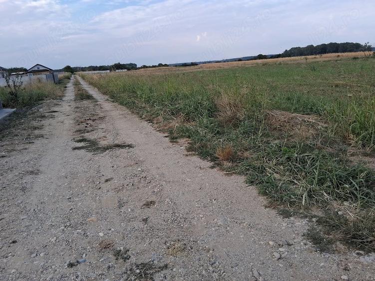Teren de 600 mp, în Salcia