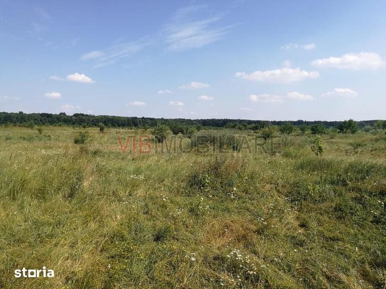 Baneasa - Piscul Reghiului, teren intravilan, suprafata 727 mp - 2
