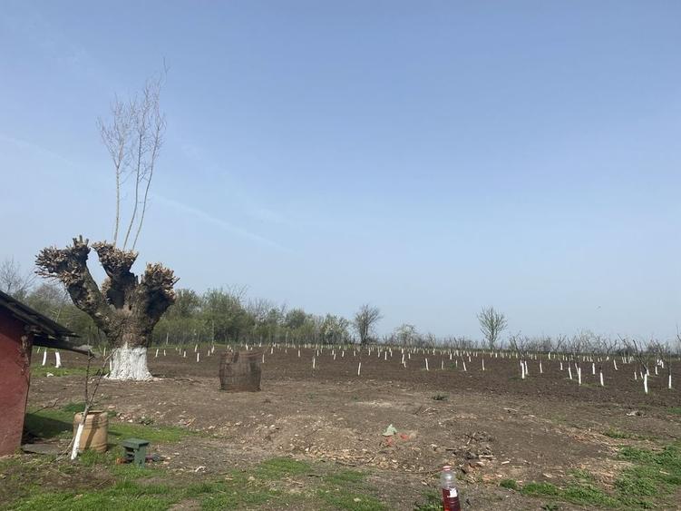 Casă cu 4 camere cu Teren 8500 Mp în Răsuceni