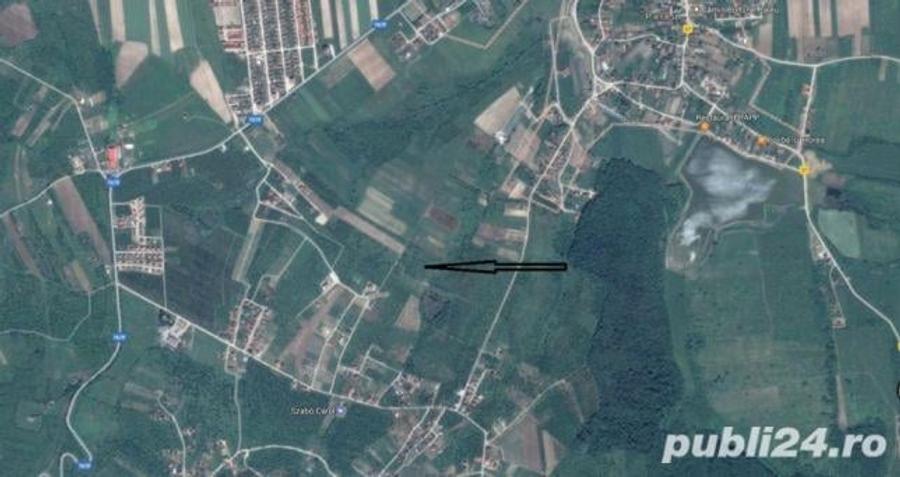Teren de 5757 mp, în Paleu