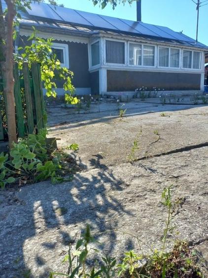 Casă individuală cu 5 camere cu Teren 5000 Mp în Caraorman