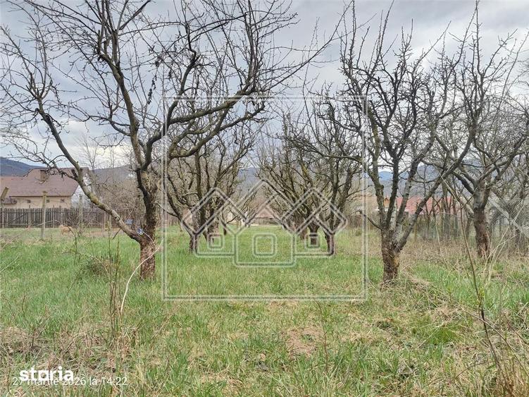 Teren intravilan si casa cu livada in Sacel - pretabil investitii - 9