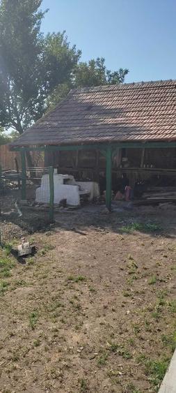 Casă cu 4 camere în Traian