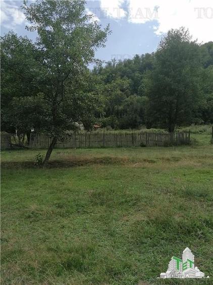 Teren Construcții intravilan de 2324 mp, în Berevoești