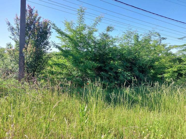 Teren vanzare Filia?i, 2018 mp, 15.000 euro, strada 24 Ianuarie - 4