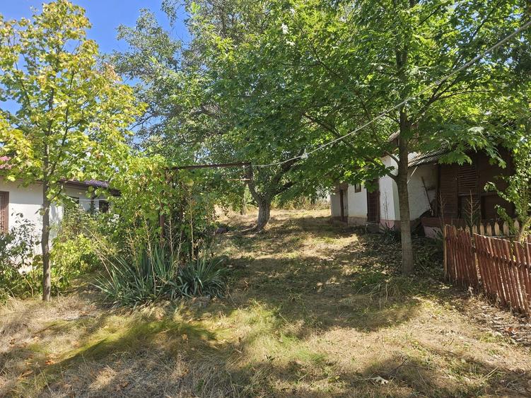 Casă cu 3 camere în Vitănești