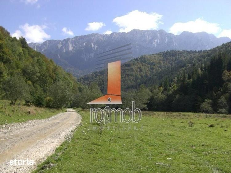 Teren Barsa lui Bucur, Plaiul Foii, Zarnesti - 2