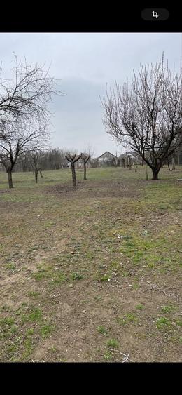 Teren de 1800 mp, în Coșoveni