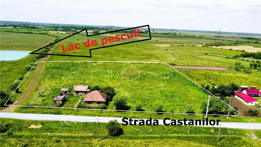 Teren Construcții extravilan de 10850 mp, în Sud