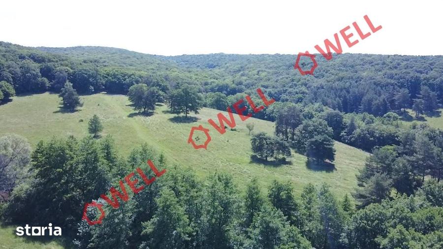 Teren de 46300 mp, în Ghidfalău