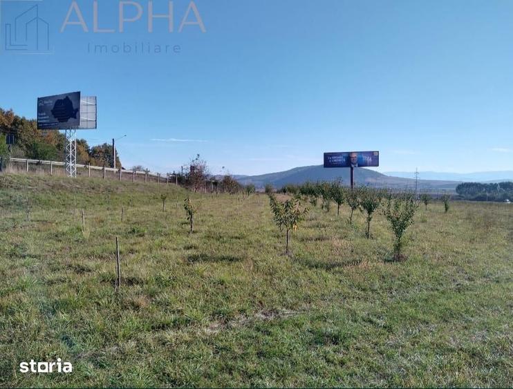 Teren de 12300 mp, în Șcheia