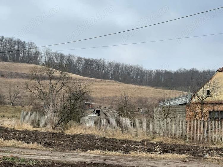 Teren de 1400 mp, în Central