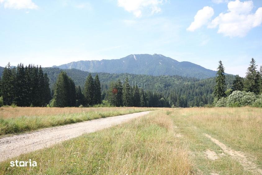 Teren de 8823 mp, în Predeal