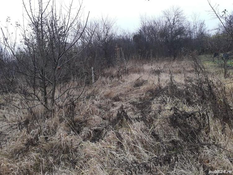 Teren de 530 mp, în Hamba
