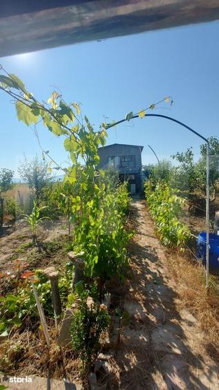 Casă cu 2 camere cu Teren 450 Mp în Ilieni
