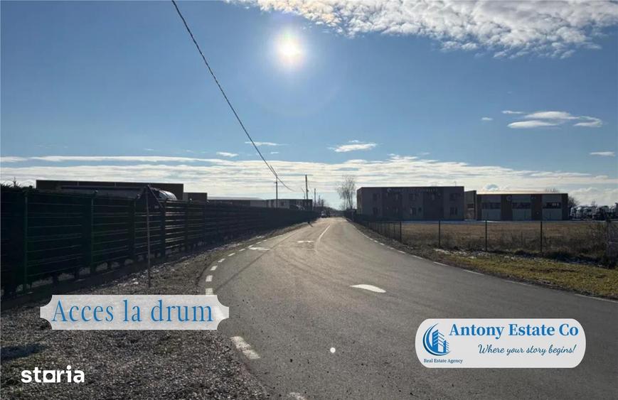 Antony Estate | Teren Intravilan de vanzare- Bors - 3