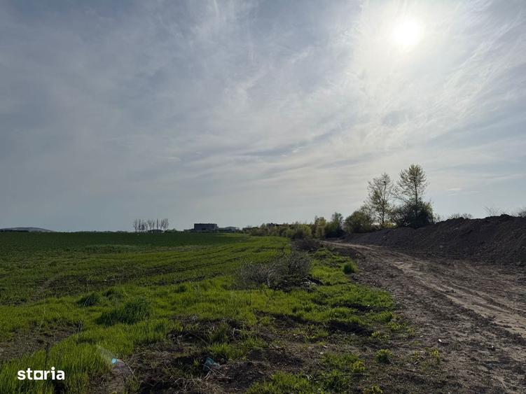 TEREN INTRAVILAN 3700MP METROU BERCENI - 2