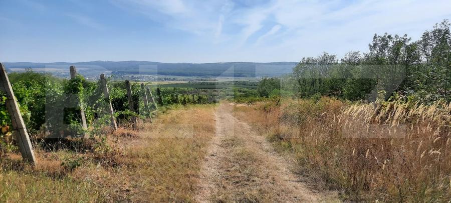 Teren agricol intravilan de 22000 mp, în Plopu