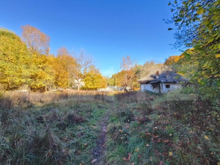 Teren Construcții intravilan de 3600 mp, în Bascov