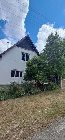 Casă cu 3 camere în Borșa