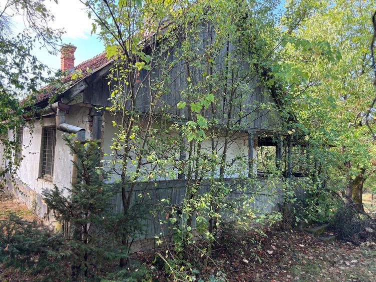 Teren de 3500 mp, în Viile Satu Mare