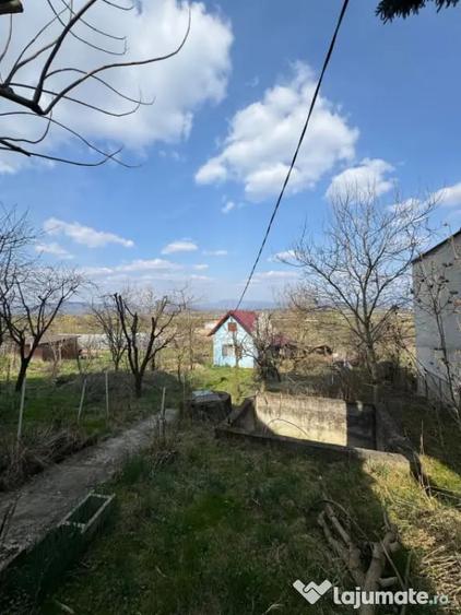 Casă cu 3 camere cu Teren 3300 Mp în Coltău