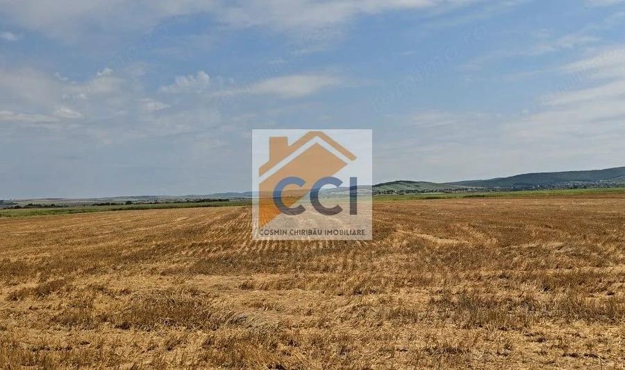 Teren intravilan 50.000 mp, Bacau, ?oseaua Hol - 9
