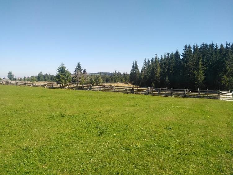 Teren Construcții intravilan de 3538 mp, în Măguri