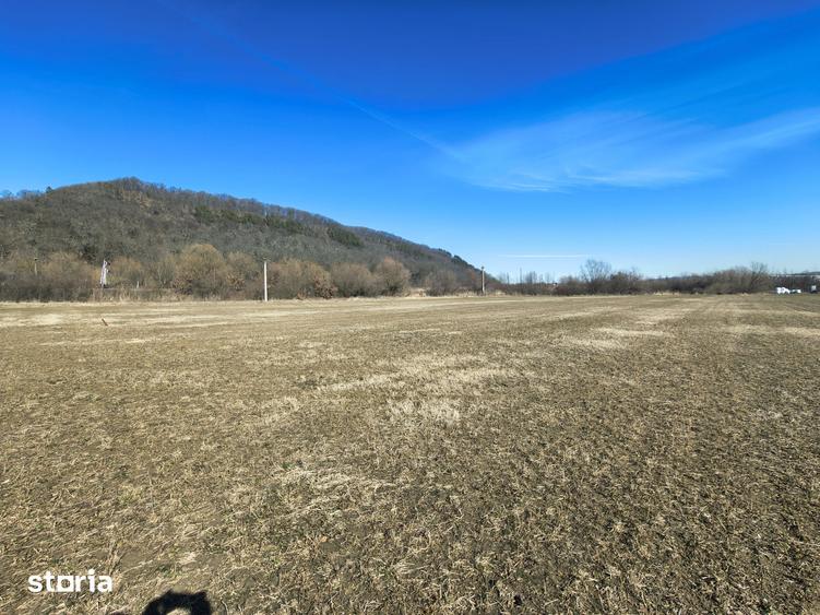 Teren de 2800 mp, în Turnu Roșu
