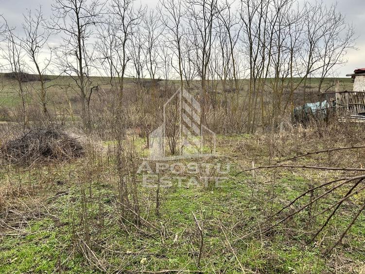Teren Construcții intravilan de 3920 mp, în Herneacova